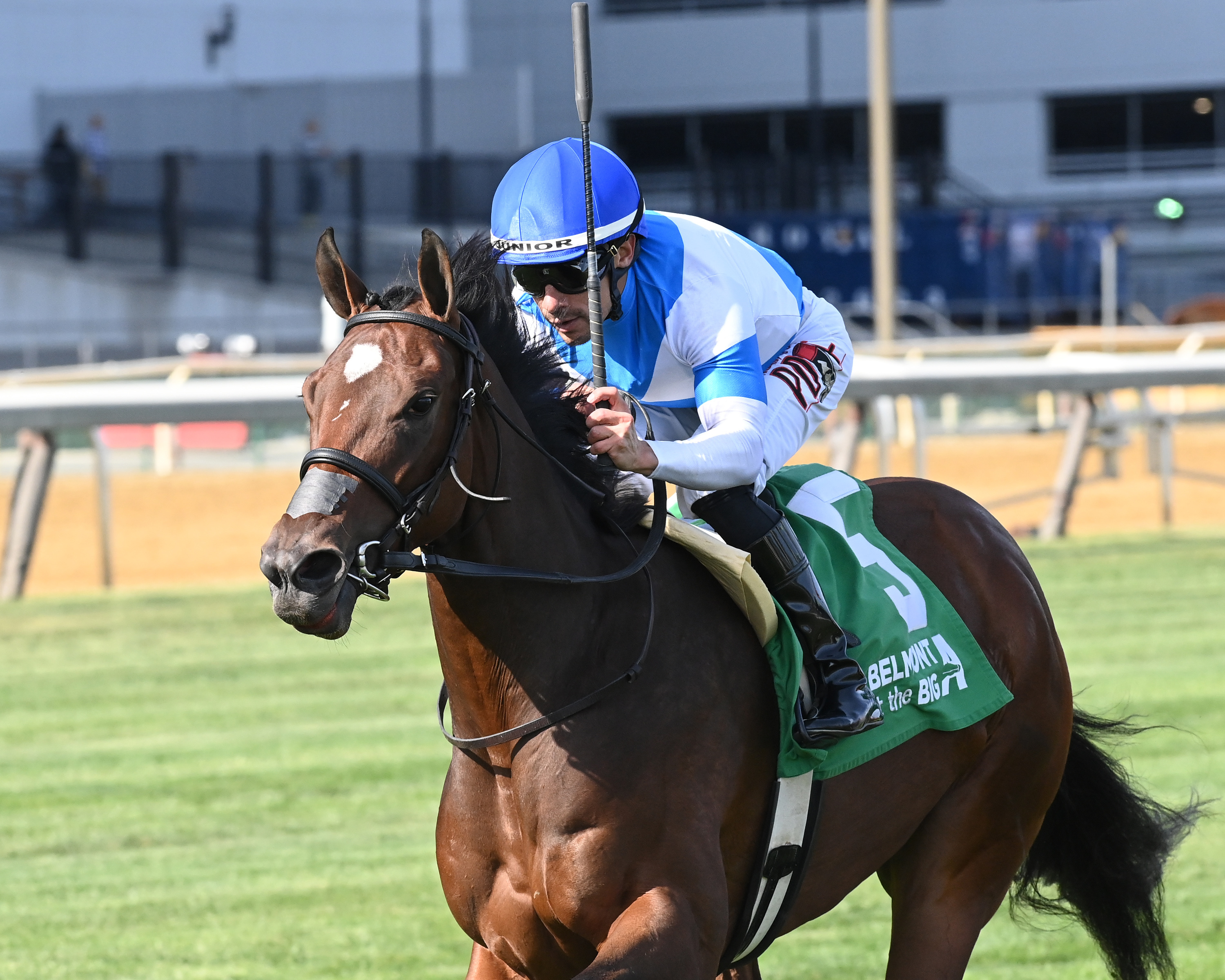 競馬Breeders' Cup 2021 Champion ジャージジャケット Breeders' Cup Juvenile Fillies Turf: Final Accord has recent